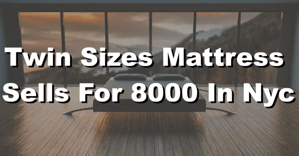 twin sizes mattress sells for 8000 in new york city