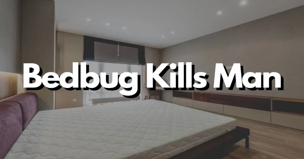 bedbug kills man after sleeping on mattress in car