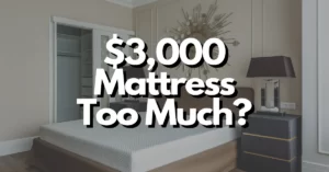 is $3000 too much for a mattress